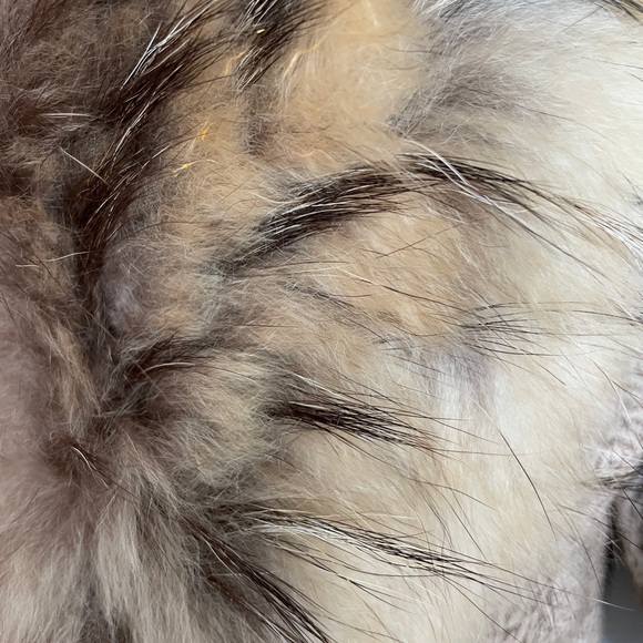 Stunning vintage jacket with fur collar - Picture 6 of 9